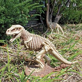 T-REX DINOSAUR SKELETON STATUE