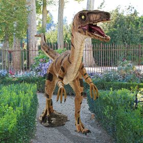 VELOCIRAPTOR DINOSAUR STATUE                FRT-NR