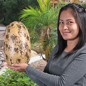 EARLY JURASSIC THEROPODA EGG STATUE