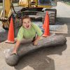 APATOSAURUS FEMUR FOSSIL STATUE                 NR