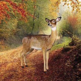 DOE WHITE TAIL DEER STATUE                  FRT-NR