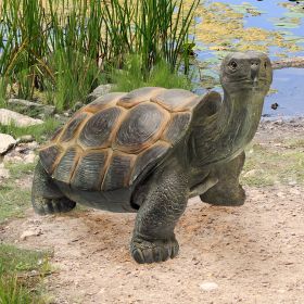 ELEPHANT TORTOISE STATUE