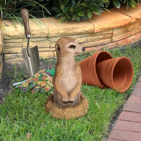 MEERKAT COMING OUT OF GROUND STATUE